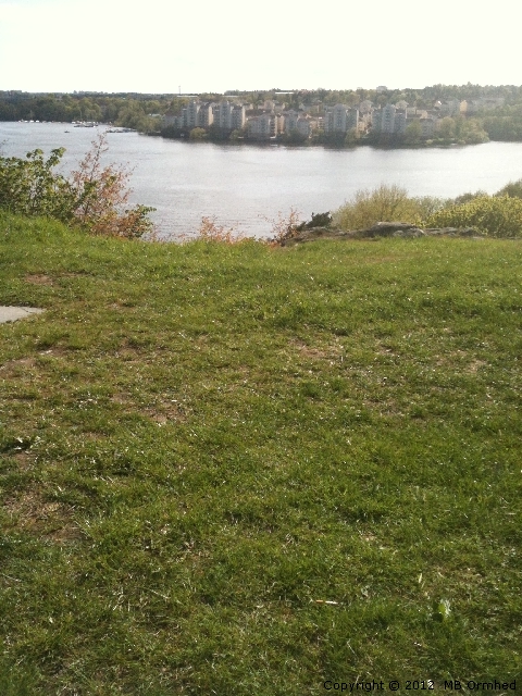 Traneberg frn Vstra skogen