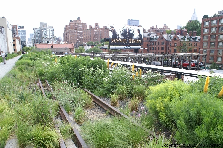 The High Line